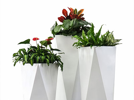 西安綠植租擺